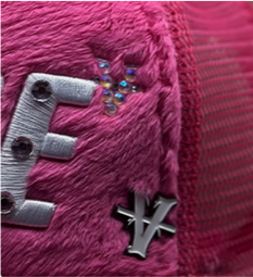 VAICE PIN